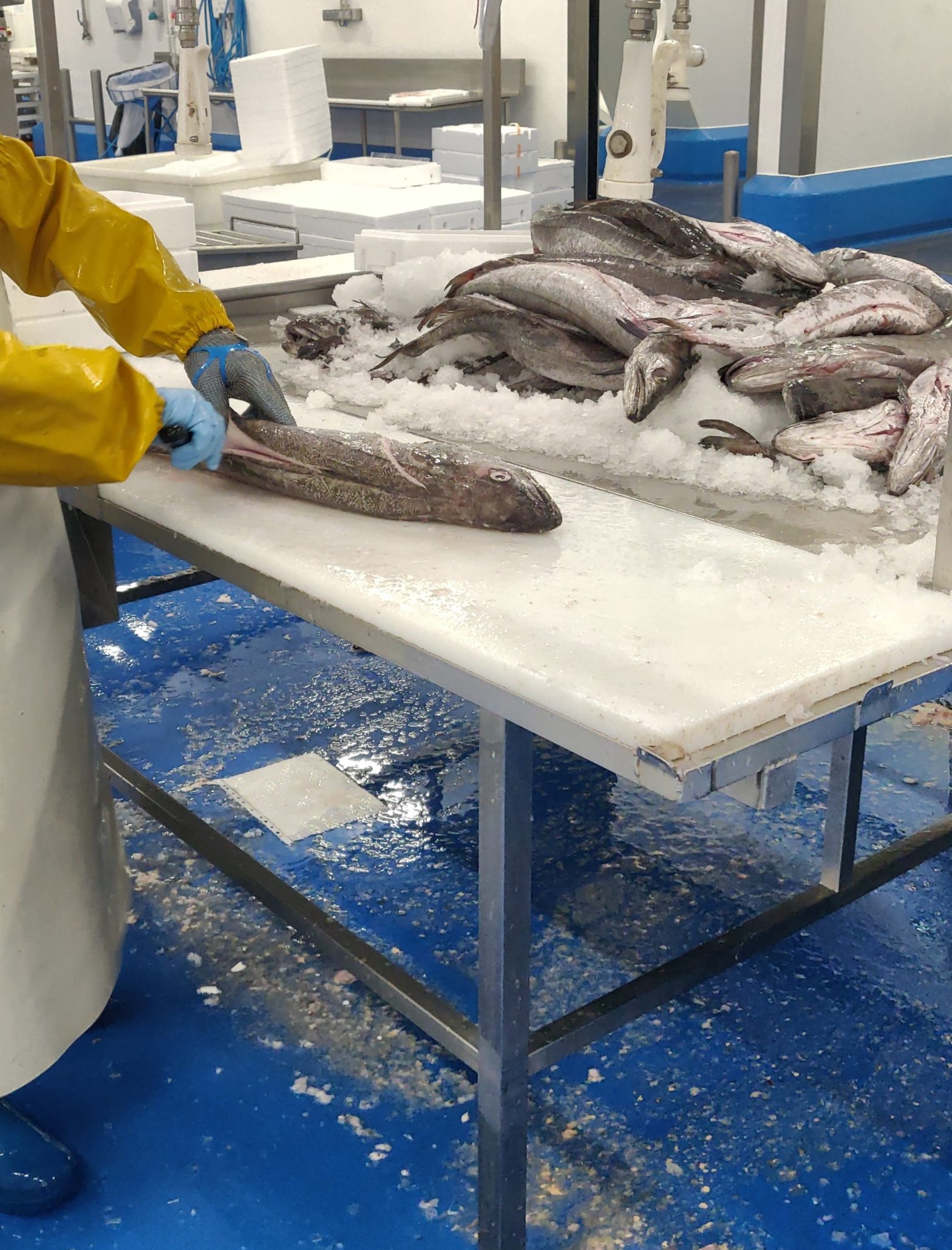 Relocation of raw material recovery Upcyclink