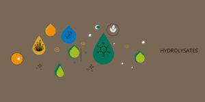 Valorisation de coproduits, hydrloyse enzymatqiue