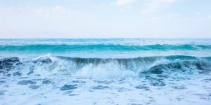 Illustration de l'expertise d'Upcyclink dans l'économie bleue circulaire et la valorisation des coproduits marins lors de l'Année de la Mer